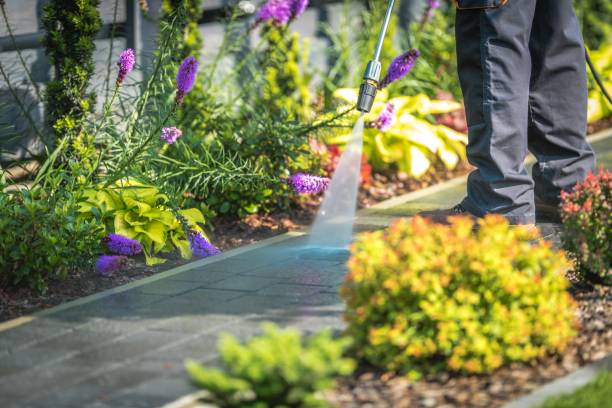 Best Pre-Holiday Cleaning  in Preston Heights, IL